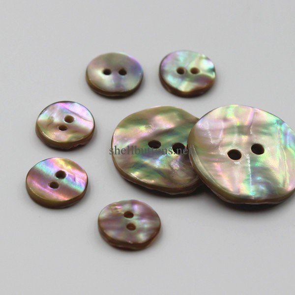 SB1227 abalone shell buttons