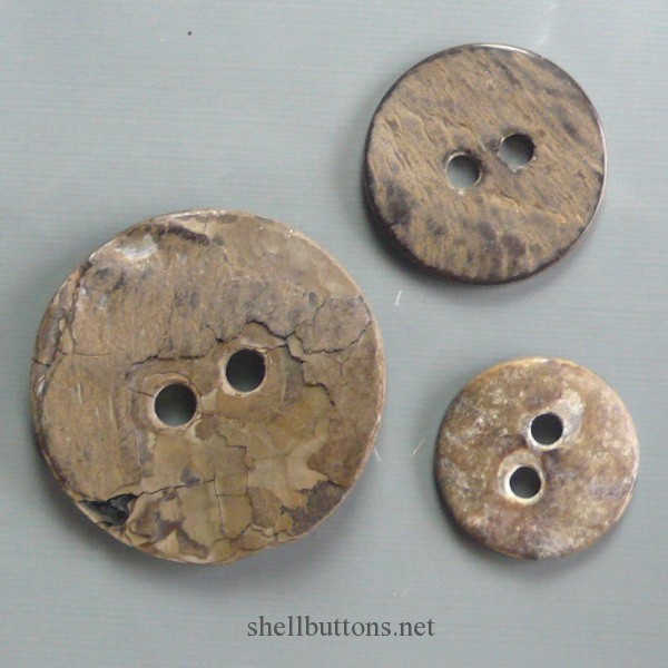 cheap shell buttons wholesale