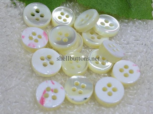 ten and yoko trocas shell buttons wholesale