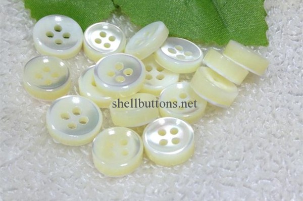 ten and yoko trocas shell buttons wholesale
