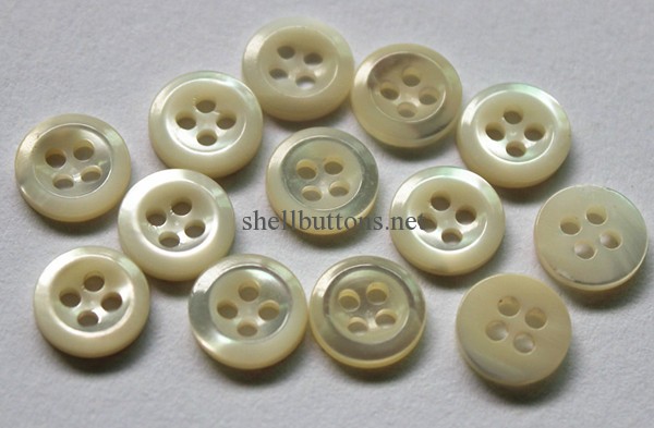 clean back trocas shell buttons with R-side