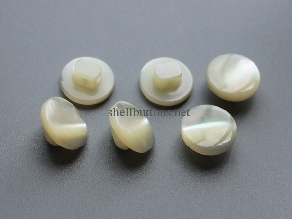 trocas shank shell buttons for sale